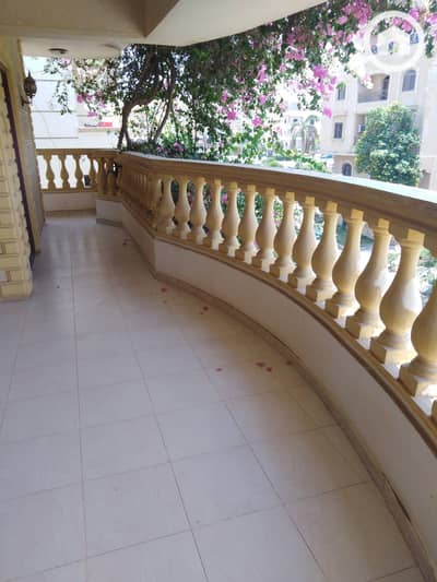 2 Bedroom Apartment for Rent in New Cairo, Cairo - e9c411fc-206d-46c2-889a-41b88a79. jpg 2 Bedroom Apartment for Rent in New Cairo, Cairo - e9c411fc-206d-46c2-889a-41b88a79. jpg