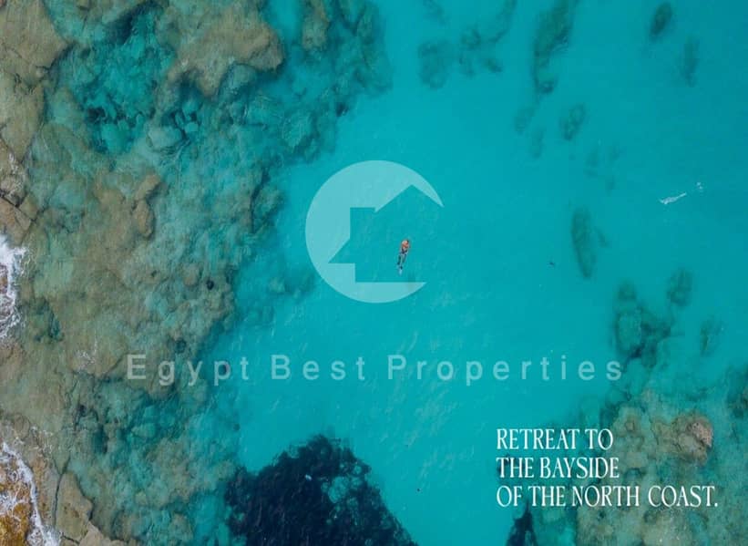 5 Screenshot 2024-06-08 130718. jpg