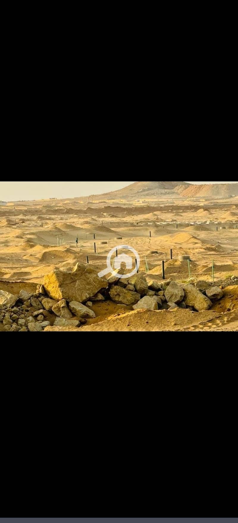 8 325652. jpg