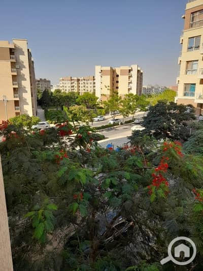 3 Bedroom Flat for Rent in Madinaty, Cairo - WhatsApp Image 2026-08-01 at 13.02. 31(3). jpeg
