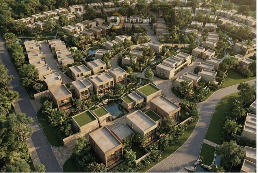 11 IMG-20260801-WA0000. jpg