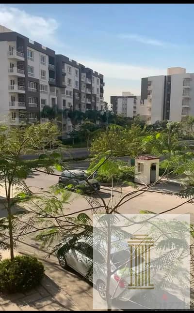 3 Bedroom Apartment for Sale in Madinaty, Cairo - WhatsApp Image 2026-08-01 at 1.46. 11 PM (3). jpeg