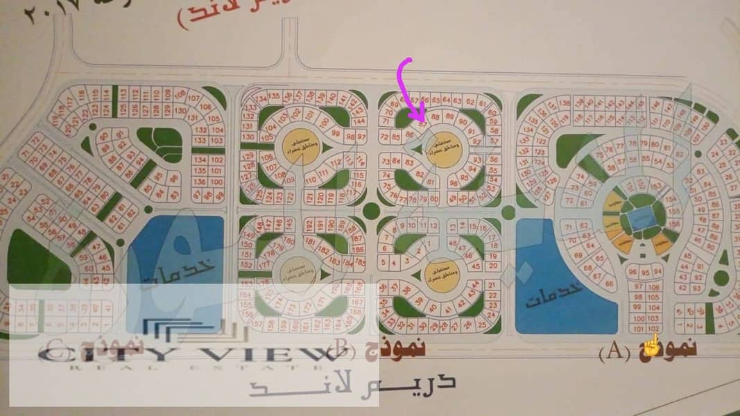 5 423860. jpg