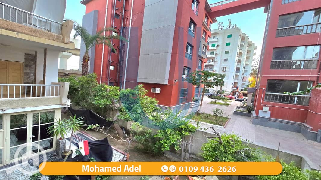 13 11. png