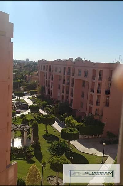 فلیٹ 3 غرف نوم للبيع في القاهرة الجديدة، القاهرة - WhatsApp Image 2026-08-01 at 2.00. 39 PM (5). jpeg فلیٹ 3 غرف نوم للبيع في القاهرة الجديدة، القاهرة - WhatsApp Image 2026-08-01 at 2.00. 39 PM (5). jpeg