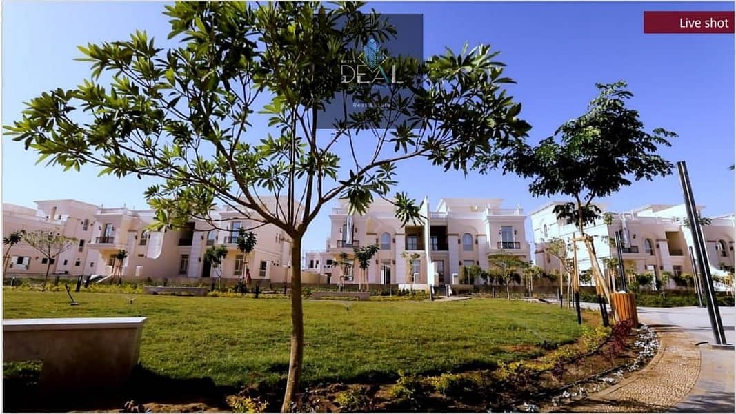 23 صورة واتساب بتاريخ 2025-05-27 في 19.40. 53_80e5e560 - Copy - Copy. jpg