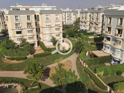 2 Bedroom Flat for Rent in New Cairo, Cairo - WhatsApp Image 2026-06-22 at 1.07. 39 PM. jpeg 2 Bedroom Flat for Rent in New Cairo, Cairo - WhatsApp Image 2026-06-22 at 1.07. 39 PM. jpeg