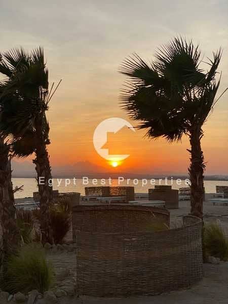 9 N7iPLFdhzoNqUasb584GsSGcmaliNSeuk623Rvh2. jpg
