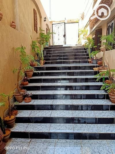 Office for Rent in New Cairo, Cairo - da47f379-5853-40e3-a6ca-7fda5c75. jpg