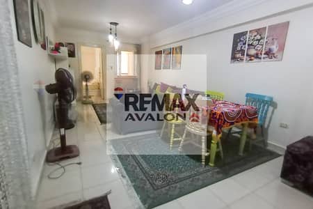 2 Bedroom Apartment for Rent in Sporting, Alexandria - 1. jpg 2 Bedroom Apartment for Rent in Sporting, Alexandria - 1. jpg