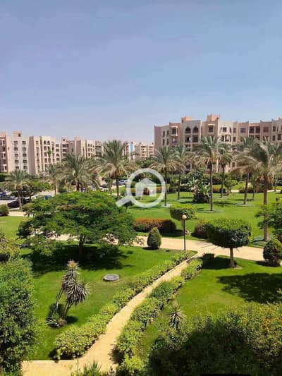 شقة 2 غرفة نوم للبيع في القاهرة الجديدة، القاهرة - 762903637_1677936250103338_8519105694004189102_n. jpg شقة 2 غرفة نوم للبيع في القاهرة الجديدة، القاهرة - 762903637_1677936250103338_8519105694004189102_n. jpg