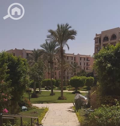 فلیٹ 2 غرفة نوم للايجار في القاهرة الجديدة، القاهرة - WhatsApp Image 2025-08-24 at 3.29. 48 PM (1). jpeg فلیٹ 2 غرفة نوم للايجار في القاهرة الجديدة، القاهرة - WhatsApp Image 2025-08-24 at 3.29. 48 PM (1). jpeg