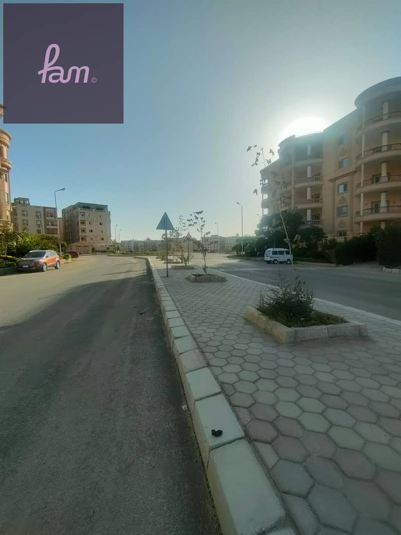 6 IMG20251022162744. jpg