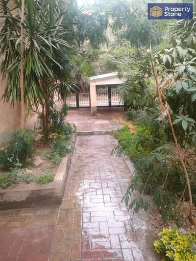 Office for Rent in Maadi, Cairo - 263237. jpg Office for Rent in Maadi, Cairo - 263237. jpg