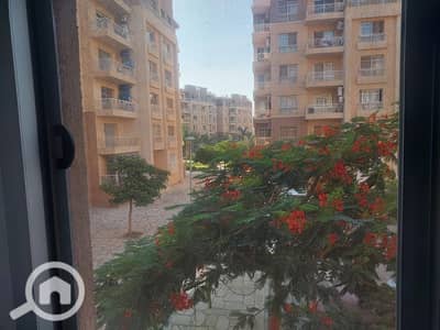 3 Bedroom Flat for Sale in Madinaty, Cairo - 7021a9cd-e1f6-48a3-8e14-f6a0dbb404fe. jpg 3 Bedroom Flat for Sale in Madinaty, Cairo - 7021a9cd-e1f6-48a3-8e14-f6a0dbb404fe. jpg
