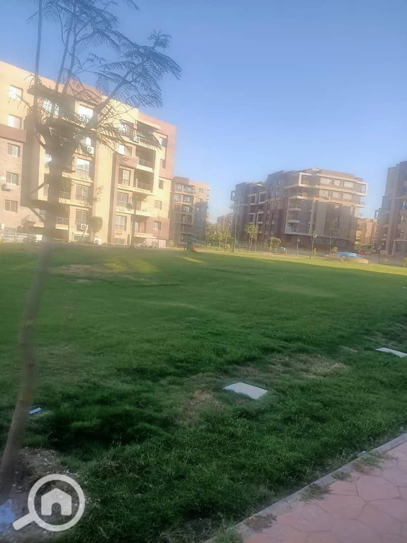 11 1000061593. jpg