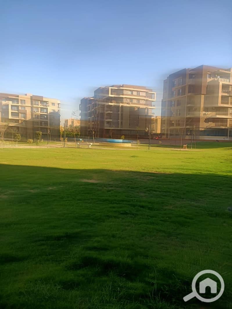 13 1000061592. jpg