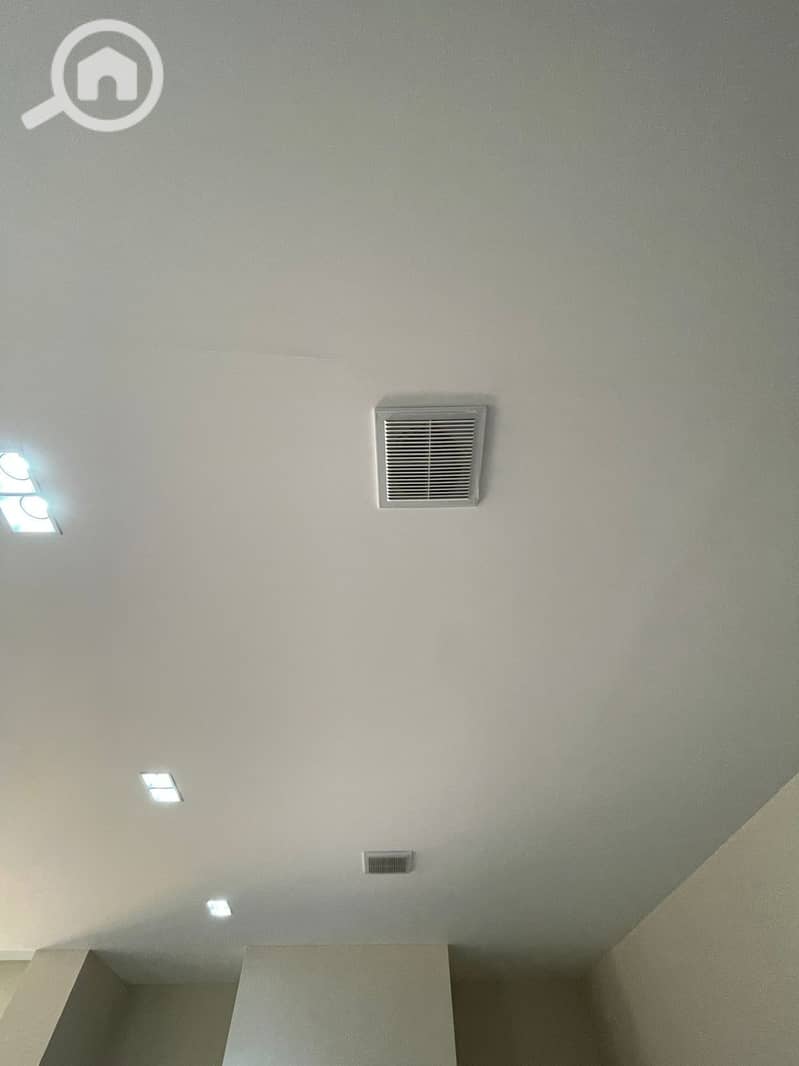 20 1000382444. jpg