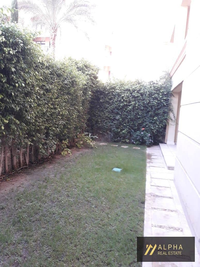 3 158362. jpg