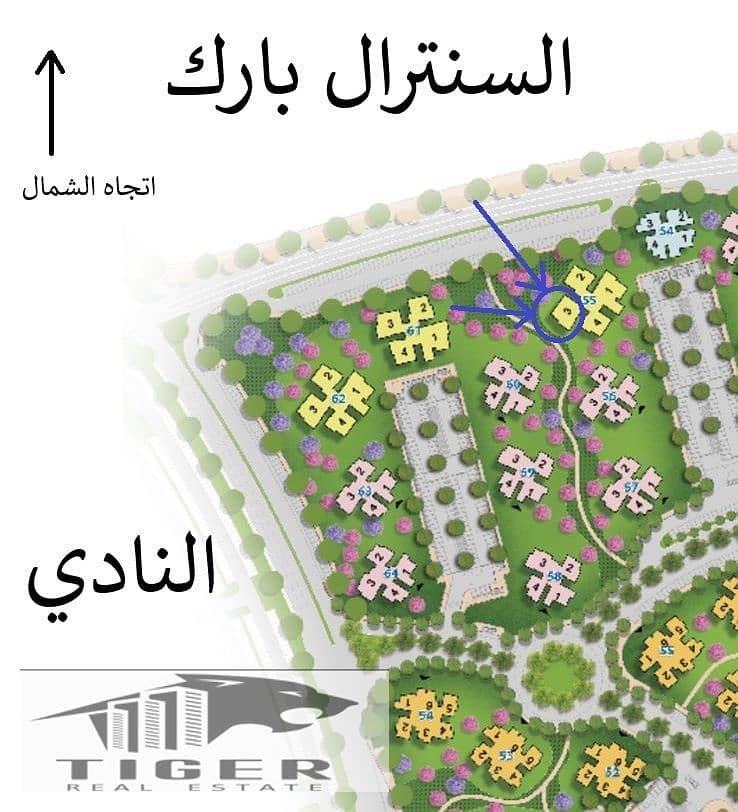267777. jpg 267777. jpg