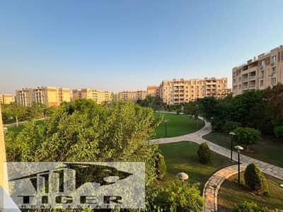 2 Bedroom Flat for Sale in Madinaty, Cairo - 1000125710. jpg 2 Bedroom Flat for Sale in Madinaty, Cairo - 1000125710. jpg