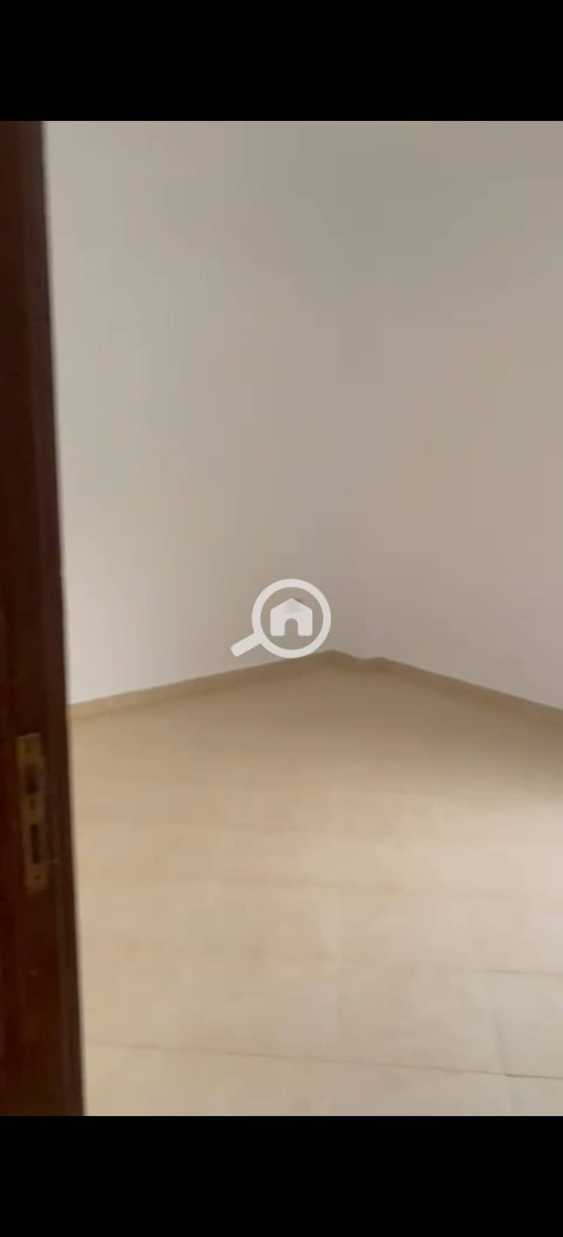 3 299883. jpg