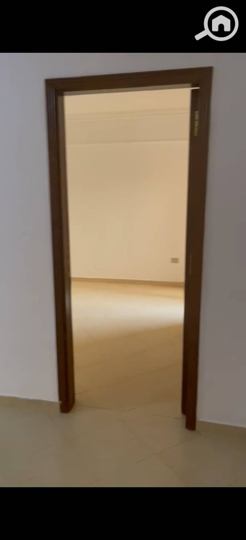 4 299882. jpg