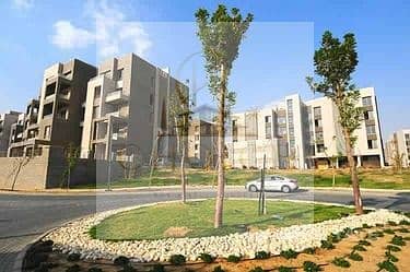6 PalmHillsNewCairogallery. jpg