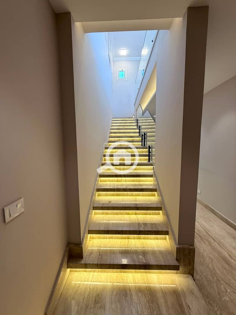 4 909930. jpg