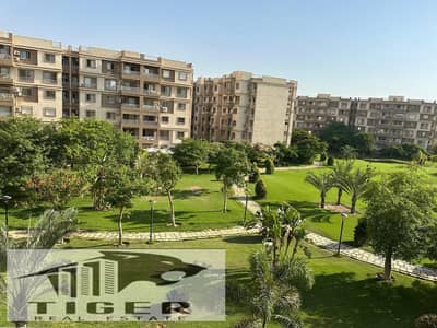 3 Bedroom Flat for Sale in Madinaty, Cairo - IMG-20260801-WA0457(1). jpg 3 Bedroom Flat for Sale in Madinaty, Cairo - IMG-20260801-WA0457(1). jpg