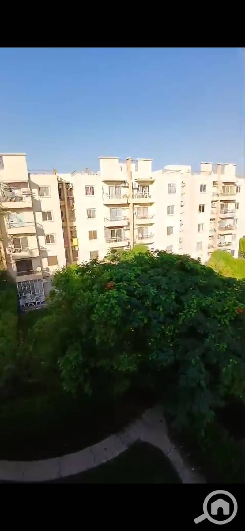 6 1000698296. jpg