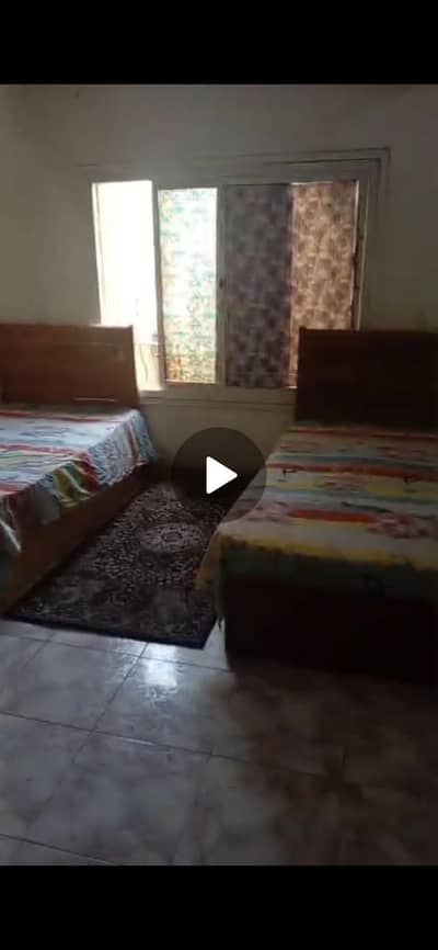 3 Bedroom Apartment for Rent in Mansura, Dakahlia - شقة للايجار السرير ب ٢٠٠٠ شارع جانبي من حي الجامعة 3 Bedroom Apartment for Rent in Mansura, Dakahlia - شقة للايجار السرير ب ٢٠٠٠ شارع جانبي من حي الجامعة