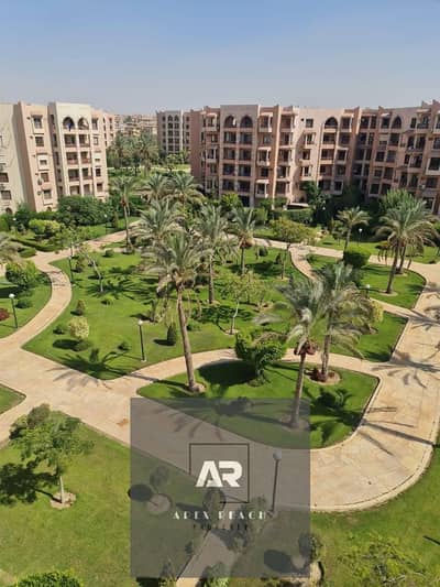 3 Bedroom Flat for Rent in New Cairo, Cairo - 1000916000. jpg