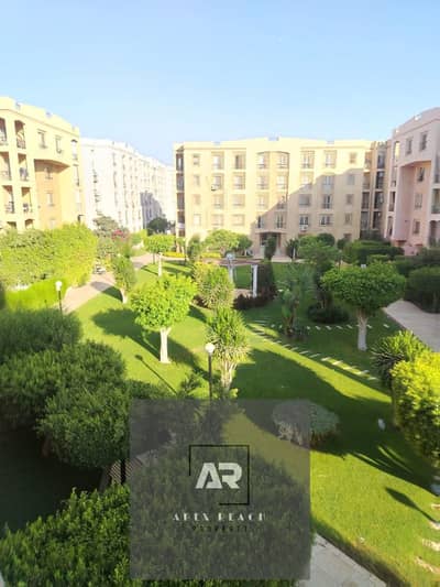 3 Bedroom Flat for Rent in New Cairo, Cairo - 1001230462. jpg 3 Bedroom Flat for Rent in New Cairo, Cairo - 1001230462. jpg