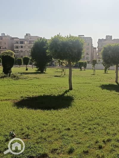 أرض للبيع في الزمالك، القاهرة - 10090. jpg أرض للبيع في الزمالك، القاهرة - 10090. jpg