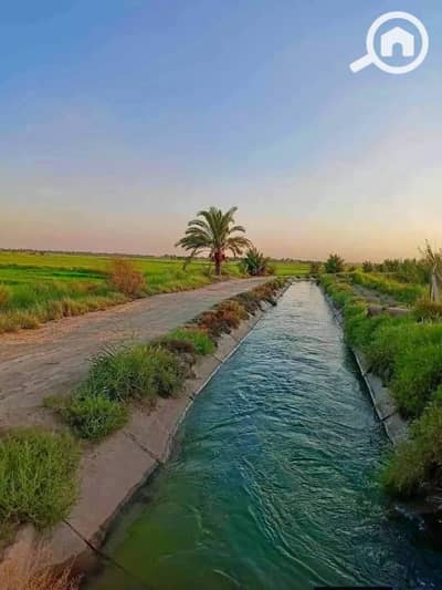 أرض زراعية للبيع في 6 اكتوبر، الجيزة - 1000078307. jpg أرض زراعية للبيع في 6 اكتوبر، الجيزة - 1000078307. jpg