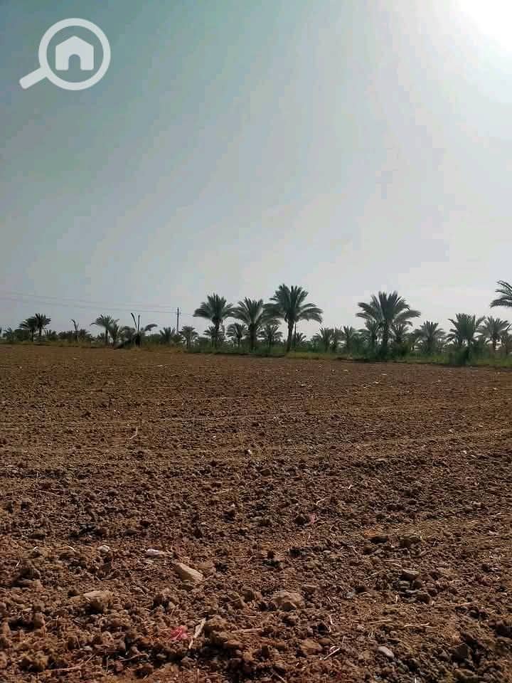 2 1000077217. jpg