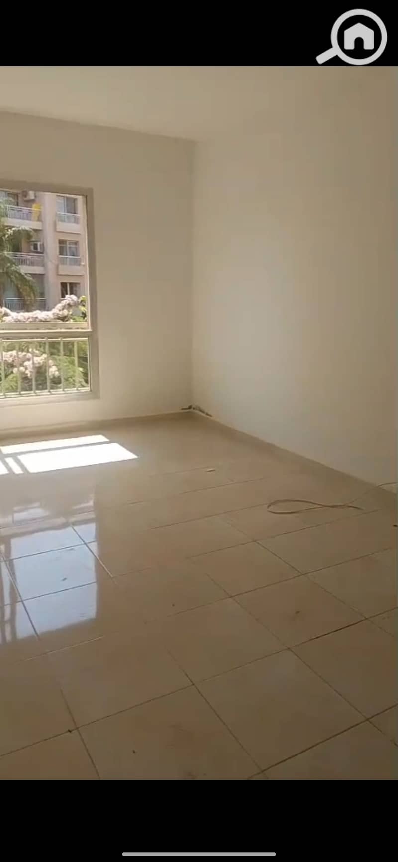 9 1000038234. jpg