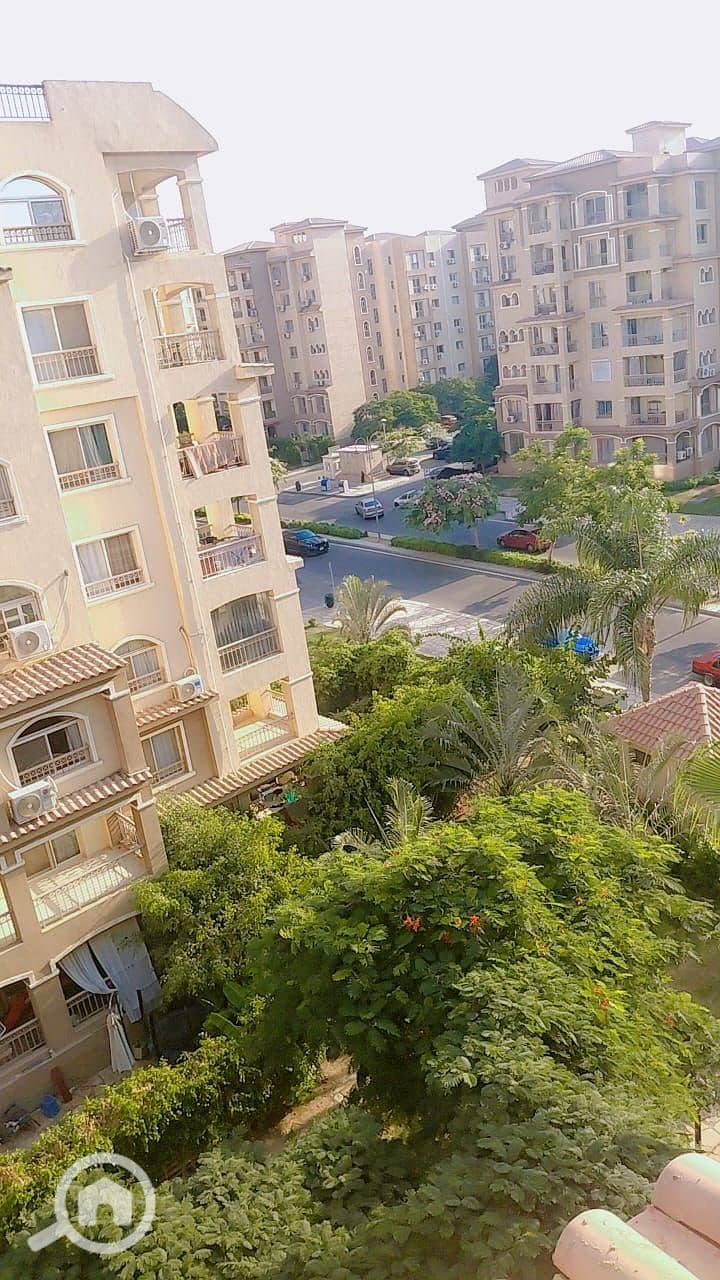 16 1000897345. jpg