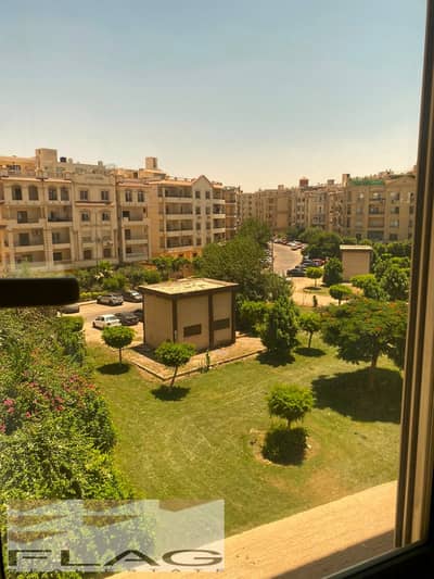 فلیٹ 3 غرف نوم للايجار في القاهرة الجديدة، القاهرة - 232129. jpg