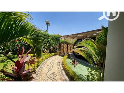 2 Bedroom Twin House for Sale in New Cairo, Cairo - 9cf37da8-4c42-471e-a1fd-b778478d21cf. jpg
