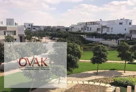 2 Bedroom Flat for Rent in New Cairo, Cairo - be570692-77d9-411f-b683-2b92474576b2. jpg 2 Bedroom Flat for Rent in New Cairo, Cairo - be570692-77d9-411f-b683-2b92474576b2. jpg