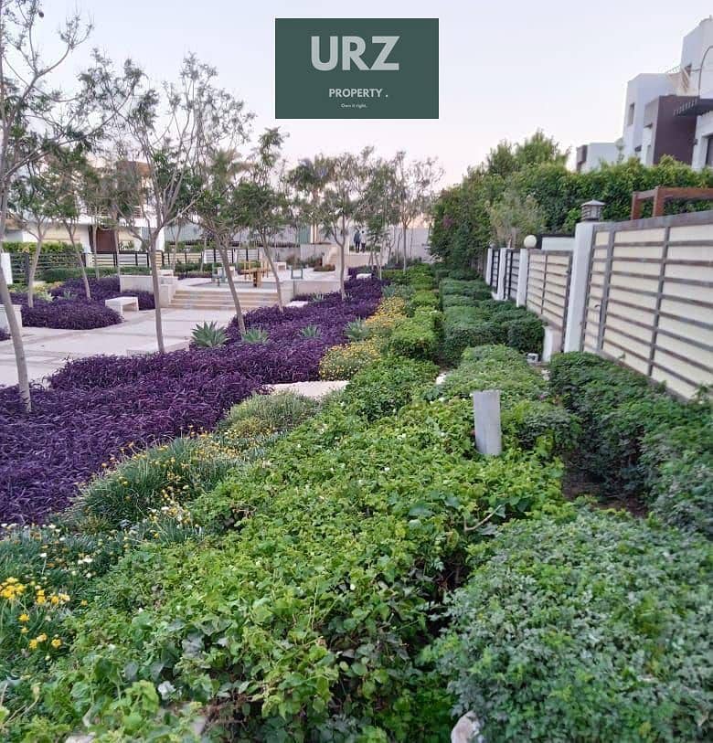7 499524495_122170503242559651_7045396389036023829_n. jpg