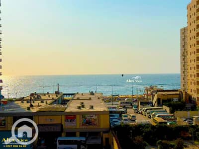فلیٹ 3 غرف نوم للايجار في العصافرة، الإسكندرية - 1. jpg فلیٹ 3 غرف نوم للايجار في العصافرة، الإسكندرية - 1. jpg