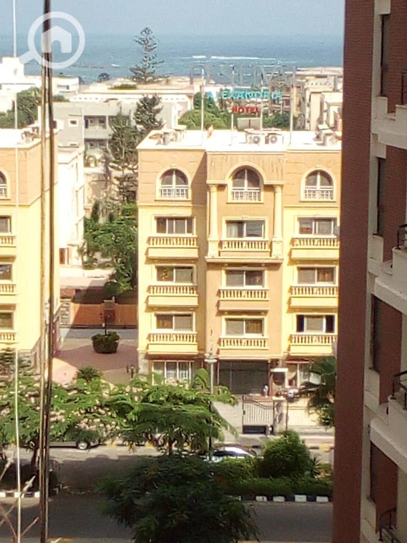 7 WhatsApp Image 2026-06-10 at 16.37. 16. jpeg
