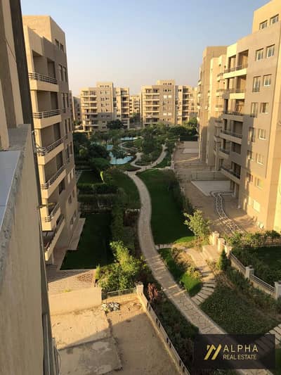شقة 2 غرفة نوم للايجار في القاهرة الجديدة، القاهرة - WhatsApp Image 2026-08-01 at 2.21. 53 PM. jpeg شقة 2 غرفة نوم للايجار في القاهرة الجديدة، القاهرة - WhatsApp Image 2026-08-01 at 2.21. 53 PM. jpeg