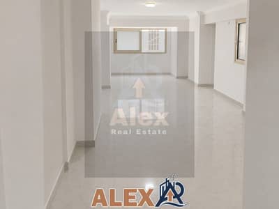 Office for Rent in Azarita, Alexandria - WhatsApp Image 2026-08-02 at 12.14. 29 PM. jpeg Office for Rent in Azarita, Alexandria - WhatsApp Image 2026-08-02 at 12.14. 29 PM. jpeg
