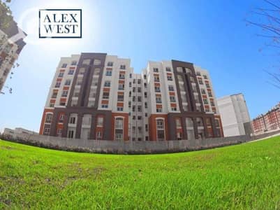 2 Bedroom Apartment for Sale in Agami, Alexandria - WhatsApp Image 2026-07-04 at 11.36. 56 (1). jpeg 2 Bedroom Apartment for Sale in Agami, Alexandria - WhatsApp Image 2026-07-04 at 11.36. 56 (1). jpeg