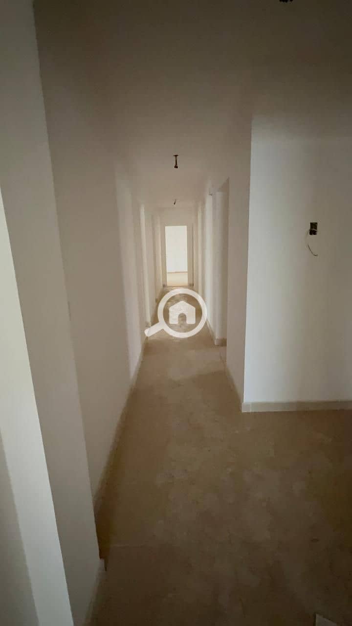 7 29529. jpg