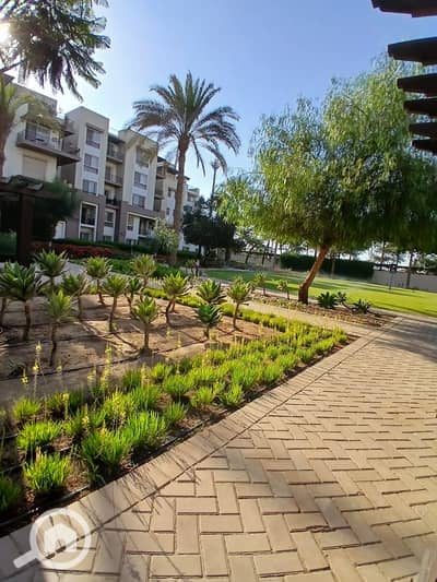 شقة 3 غرف نوم للبيع في المقطم، القاهرة - 3fd69f29-63da-4be2-a026-408420981459. jpg شقة 3 غرف نوم للبيع في المقطم، القاهرة - 3fd69f29-63da-4be2-a026-408420981459. jpg